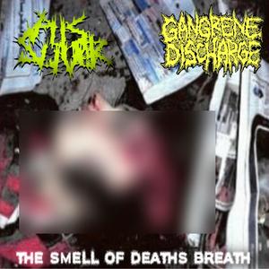 Erroneous Intestinal Harvest (feat. Gangrene Discharge)