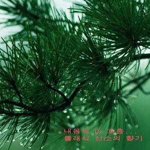 Massenet: Meditation De Tais