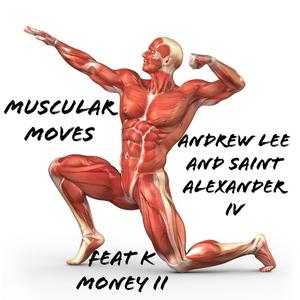 Muscular Moves