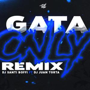 Gata Only (feat. DJ Juan Torta) (Remix)