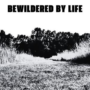 Bewildered By Life (Alt)