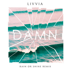 Damn (Rain or Shine Remix) [Explicit]