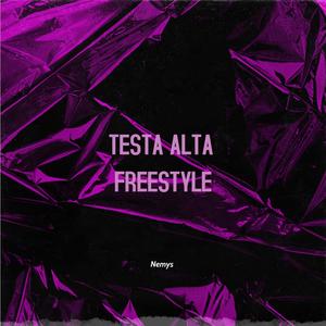 TESTA ALTA FREESTYLE (Explicit)
