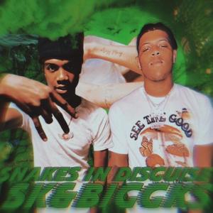 Snakes In Disguise (feat. BIGGKS) (Explicit)