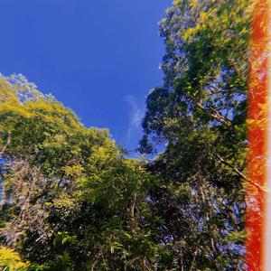 what you need (feat. nxrthstar)