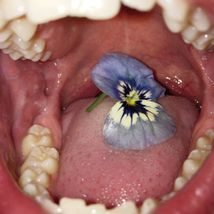 Ninja Sports (Explicit)