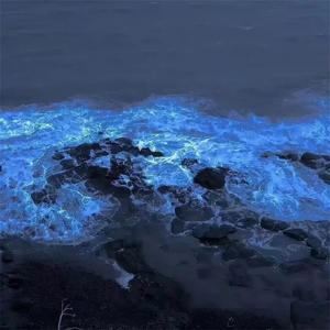 Dj Khazik - Memories (宿命氛围版)