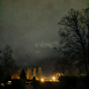 The Rose That Never Bloomed