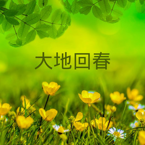 雨曾经讨厌海封面