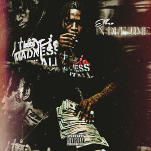 Lights Camera Action