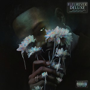 • WHICH ONE (Explicit)