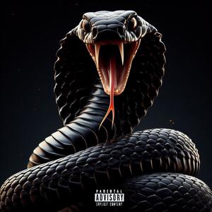 **** Em All (feat. Slauney) (Explicit)