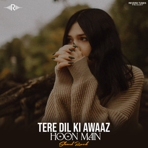 Tere Dil Ki Awaaz Hoon Main (Slowed Reverb)