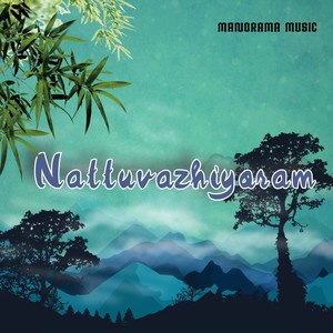 Nattuvazhiyoram