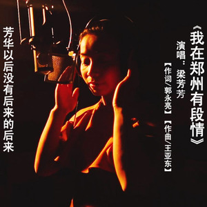 我在郑州有段情 (旋律伴奏)