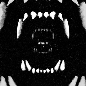 ANIMAL (Explicit)