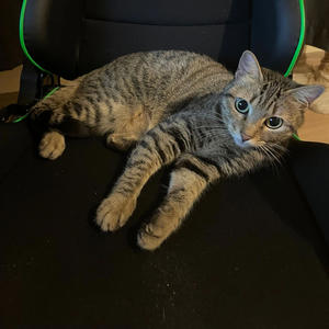 above them (Explicit)