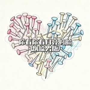 你看你看月亮的脸-大头针 Official