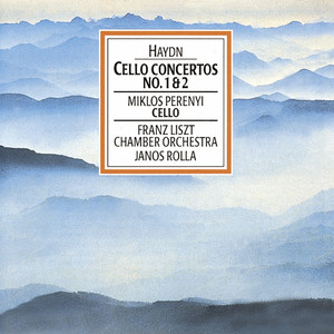 Cello Concerto No. 2 In D Major - Allegro moderato