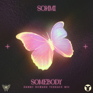 Somebody (Danny Howard Terrace Mix)