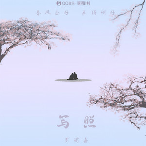 写照