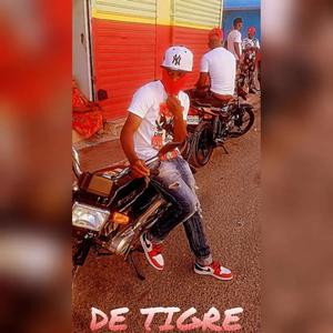 - De Tigre (Explicit)