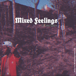Mixed Feelings (Explicit)