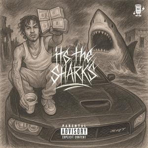 It's the Sharks (Explicit)