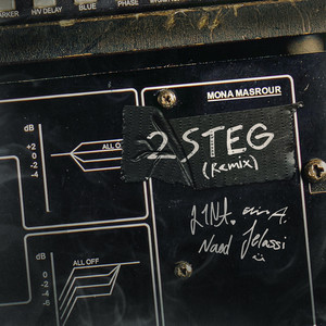 2 STEG (Remix)