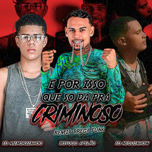 E por Isso Que So da pra Criminoso (Remix) [Explicit]