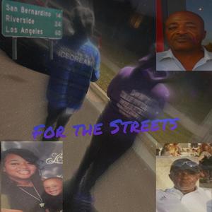 1 MAN MISSION (Explicit)