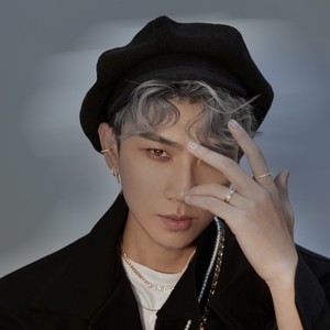 凤凰花开的路口