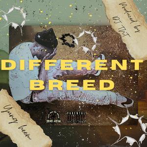 Different Breed (High Off Life Freestyle) (Explicit)