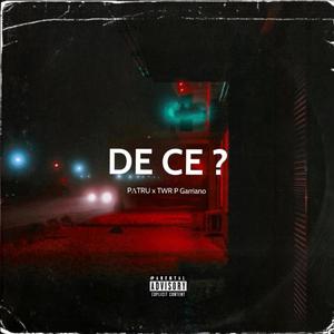 De Ce ?(feat. TWR P Garriano) (Explicit)