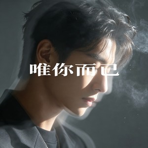 唯你而已