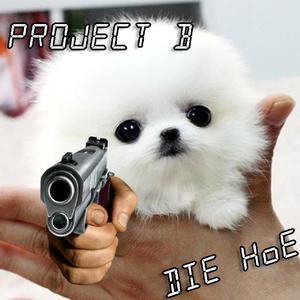 Project B (Explicit)