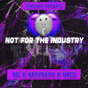 not for the industry (feat. nd sinsquad & kayykayy) [Explicit]