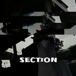 SECTiON (Explicit)