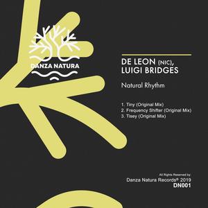 Frequenzy Shifter feat Luigi Bridges (Original Mix)