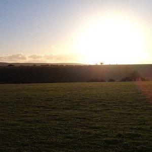 Longin60f [short T2]