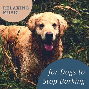 Stop Barking Please