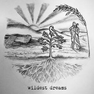 Wildest Dreams