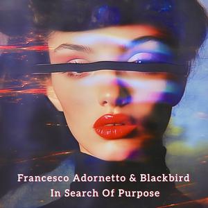 In Search Of Purpose