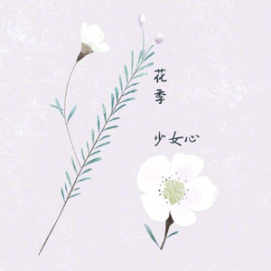 花季少女心 (填词版)