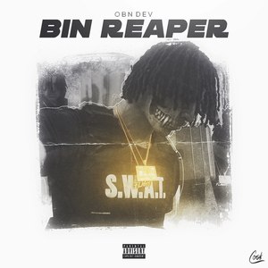 Bin Reaper