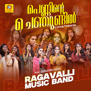 Penninte Chenchundil (COVER版)