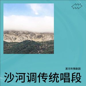 豫剧沙河调李金环《义烈女》在公堂施一礼深深拜上 (Live) - 漯河市豫剧团封面