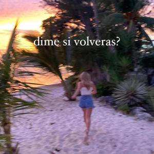 dime si volveras?