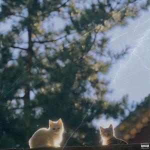 Gatita (feat. brokdemon, Teriyaki boyz, Shabazz PBG, blxcktai, Polska Gurom & RedOnRed)