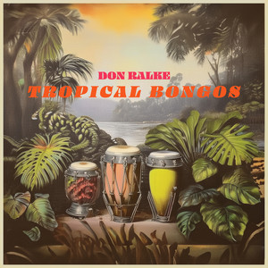 Tropical Bongos - Summertime Exotica with Don Ralke (Remastered)